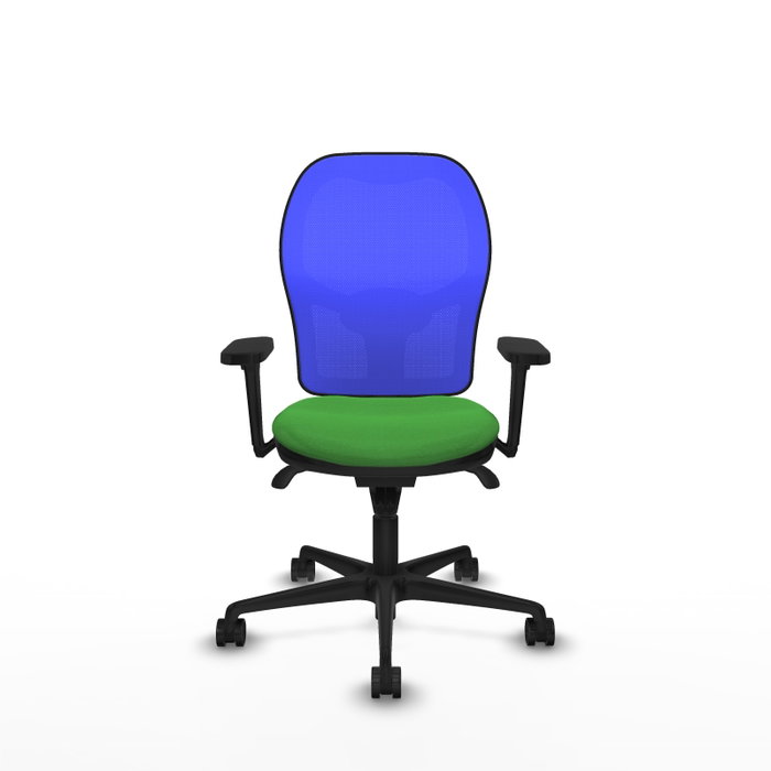 PIQUERAS Y CRESPO Silla de oficina Jorquera con mecanismo Sincro, Tela Verde y Malla Azul PIQUERAS Y CRESPO Silla de oficina Jorquera con mecanismo Sincro, Tela Verde y Malla Azul