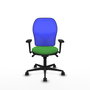PIQUERAS Y CRESPO Silla de oficina Jorquera con mecanismo Sincro, Tela Verde y Malla Azul