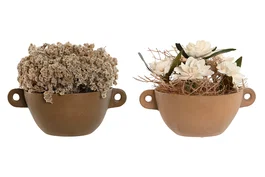 DKD Home Decor Set de 2 Plantas de Flor Seca (22x22x14 cm)