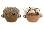 DKD Home Decor Set de 2 Plantas de Flor Seca (22x22x14 cm)
