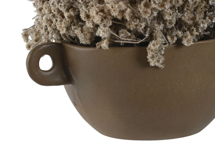 DKD Home Decor Set de 2 Plantas de Flor Seca (22x22x14 cm)