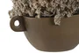 DKD Home Decor Set de 2 Plantas de Flor Seca (22x22x14 cm)