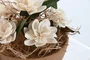 DKD Home Decor Set de 2 Plantas de Flor Seca (22x22x14 cm)
