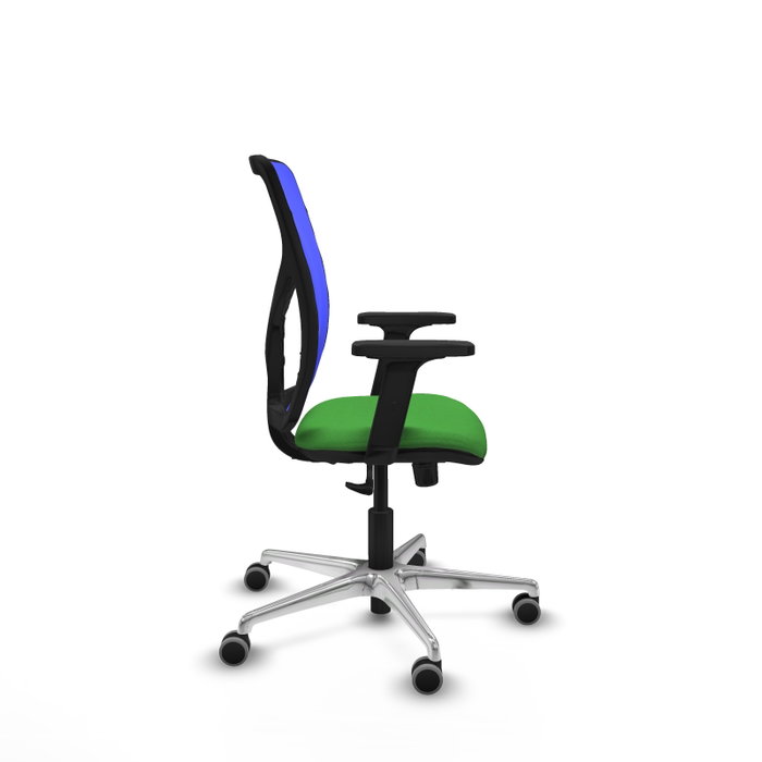 PIQUERAS Y CRESPO Silla de oficina Motilla con mecanismo Sincro, Verde y Azul PIQUERAS Y CRESPO Silla de oficina Motilla con mecanismo Sincro, Verde y Azul