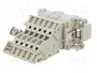 HARTING Han E® AV Plantilla de contacto macho 10+PE