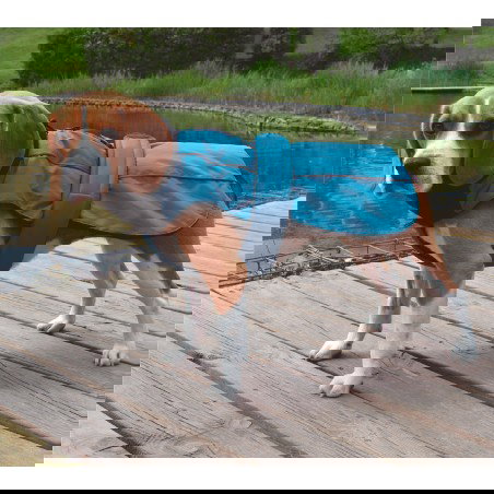 Nayeco X-Trek Sport Chaqueta Impermeable para Perro con Forro Polar, Protección Frío y Lluvia, Reflectante Verde 55 cm