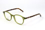 Dsquared2 DQ5124-93 Gafas de lectura verdes