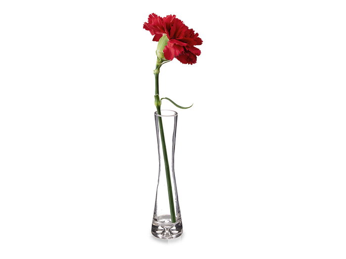 GIFTDECOR Florero de Cristal Cóncavo Pequeño Transparente GIFTDECOR Florero de Cristal Cóncavo Pequeño Transparente