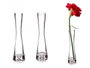 GIFTDECOR Florero de Cristal Cóncavo Pequeño Transparente