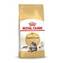 Royal Canin Feline Maine Coon Adulto 10kg