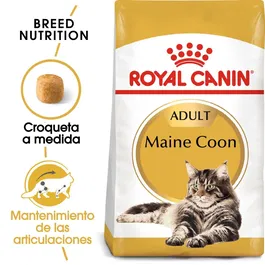 Royal Canin Alimento para Gatos Adultos Maine Coon 31 10 kg