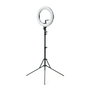 Ikan HomeStream Teleprompter Kit