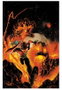 Panini España S.A. Absolute Flash 01