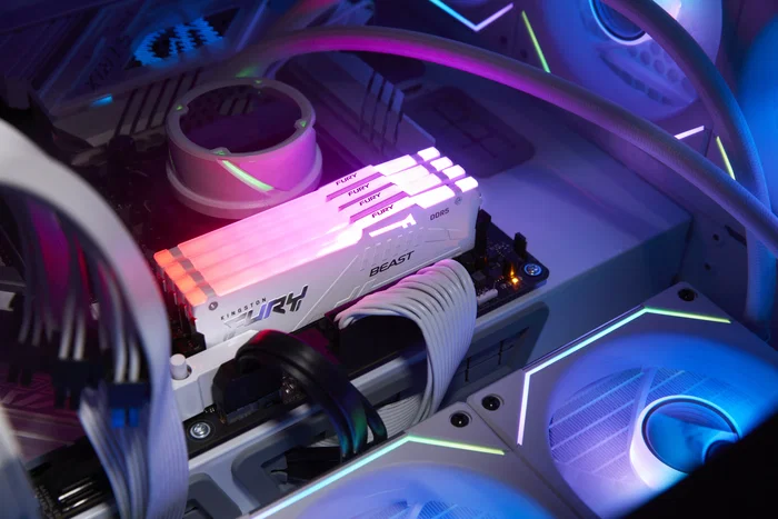 Kingston FURY Beast RGB DDR5 32 GB 5600 MT/s CL36 - Blanco