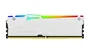 Kingston FURY Beast RGB DDR5 32 GB 5600 MT/s CL36 - Blanco