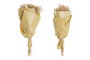 DKD Home Decor Ramo de Flores Secas Surtido de 2 Colores (8x7x44 cm)