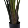 Ixia Planta Ave del Paraíso Verde 245 cm
