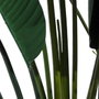 Ixia Planta Ave del Paraíso Verde 245 cm