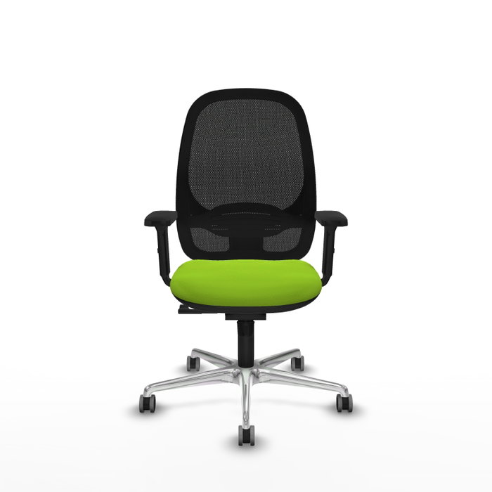PIQUERAS Y CRESPO Silla de oficina Cilanco, Mecanismo Sincro, Pistacho/Negro PIQUERAS Y CRESPO Silla de oficina Cilanco, Mecanismo Sincro, Pistacho/Negro