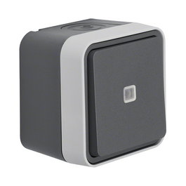 Berker 30763525 Ko-Wechselschalter con iluminación LED azul, Gris