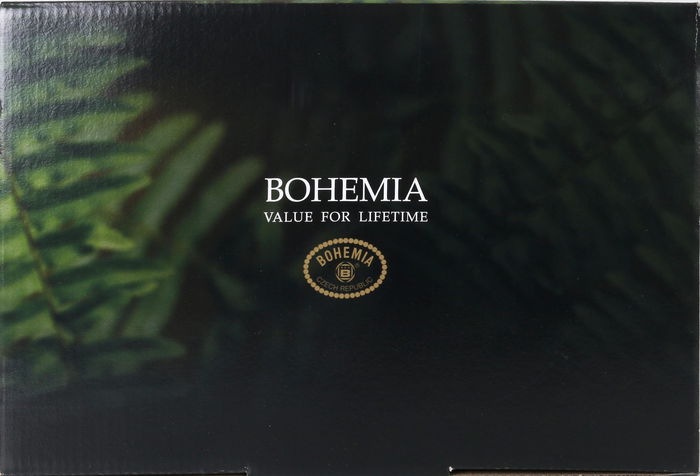 Bohemia Set 6 Vasos Cristal Clara 560 cc (4 Cajas)