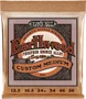 Ernieball Cuerdas Acústica Earthwood 92/8 Phosphor Bronze Medium 12,5-56