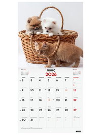 Calendari (2026) Catalan Finocam Paret Imatges Mensual Per Escriure 300X300 Gossos I Gats