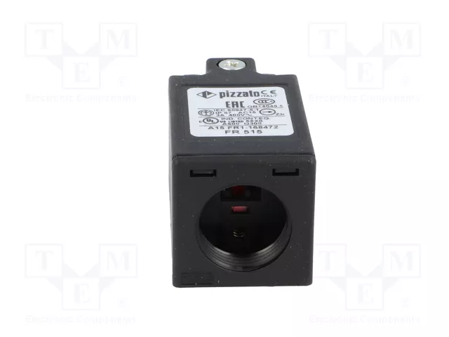 PIZZATO ELETTRICA FR 515 Interruptor de fin de carrera con roldana de polímero Ø11mm PIZZATO ELETTRICA FR 515 Interruptor de fin de carrera con roldana de polímero Ø11mm