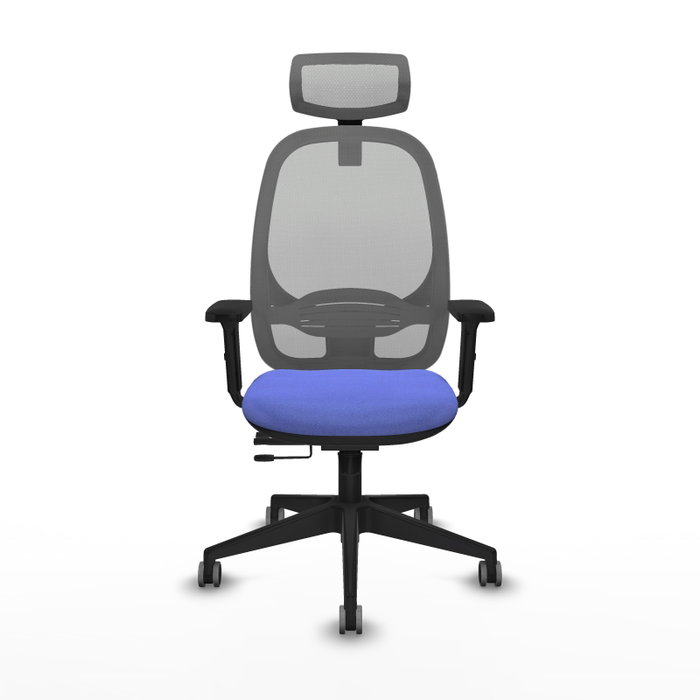 PIQUERAS Y CRESPO Silla de oficina Cilanco con mecanismo Sincro/Traslack, Azul claro y Gris PIQUERAS Y CRESPO Silla de oficina Cilanco con mecanismo Sincro/Traslack, Azul claro y Gris