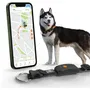Weenect Collar GPS para perros Dog XT Antena XL Resistente al agua WEE3770000300796 Negro