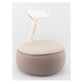 Realpower PillowStand 1 Soporte para Tablet Beige