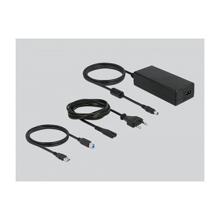 DeLOCK Concentrador USB 5 Gbps de 16 puertos con interruptores Gris