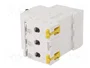 SCHNEIDER ELECTRIC Interruptor magnetotérmico ACTI9 K60N 3 polos 6A 6kA