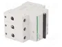 SCHNEIDER ELECTRIC Interruptor magnetotérmico ACTI9 K60N 3 polos 6A 6kA