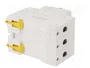 SCHNEIDER ELECTRIC Interruptor magnetotérmico ACTI9 K60N 3 polos 6A 6kA