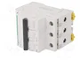 SCHNEIDER ELECTRIC Interruptor magnetotérmico ACTI9 K60N 3 polos 6A 6kA