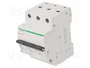 SCHNEIDER ELECTRIC Interruptor magnetotérmico ACTI9 K60N 3 polos 6A 6kA