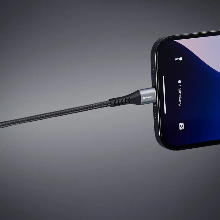 Intenso Cable USB-A a USB-C 1m 60W Negro
