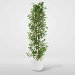 DKD Home Decor Árbol de Bambú Verde 40x40x150 cm