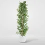 DKD Home Decor Árbol de Bambú Verde 40x40x150 cm