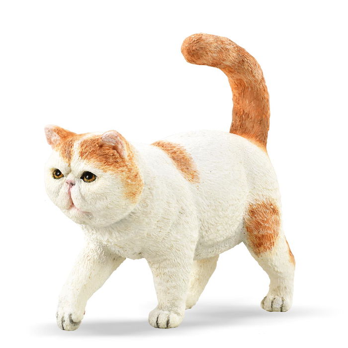 Collecta Gato Exótico Pelo Corto 88937 Figura Blanco Naranja Coleccionable Collecta Gato Exótico Pelo Corto 88937 Figura Blanco Naranja Coleccionable
