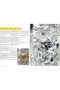 Tebeos Dolmen Editorial S.L. Carlos Pacheco: Los Años de Forum