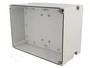 FIBOX MNX Carcasa Universal Gris 180x255x125mm