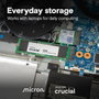 Crucial E100 1 TB M.2 NVMe PCIe 4.0 SSD