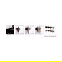 ROLINE Video-Wand-Loesung 17.03.1252 - Soportes de Pared Duales para Digital Signage, Metal Negro, 2 Pantallas, 50 kg