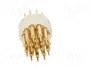 HARTING Conector M23 macho con plantilla de 17 pines, industrial