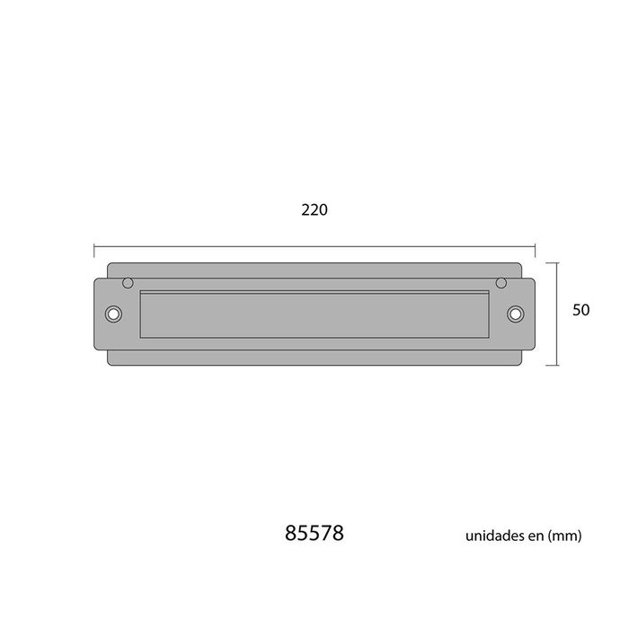 Edm Placa de Cartas para Puerta Acero Inoxidable 21,5 x 5 cm Medida Abertura 17 x 2,4 cm