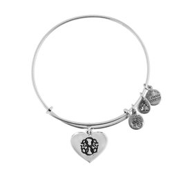 Alex And Ani Pulsera Corazón Sin Vida AC PLA Gris