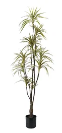 DKD Home Decor Planta Verde Marron 86 x 218 x 82 cm (2 Unidades)