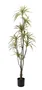 DKD Home Decor Planta Verde Marron 86 x 218 x 82 cm (2 Unidades)